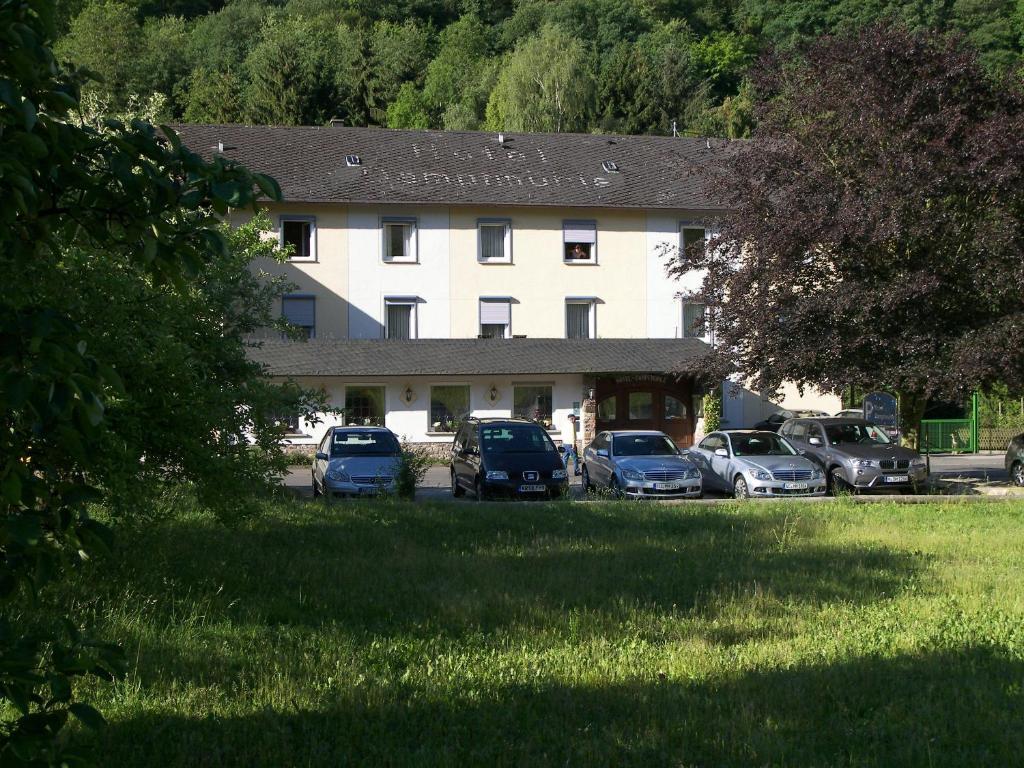 Hotel Dampfmuehle Enkirch Exterior photo